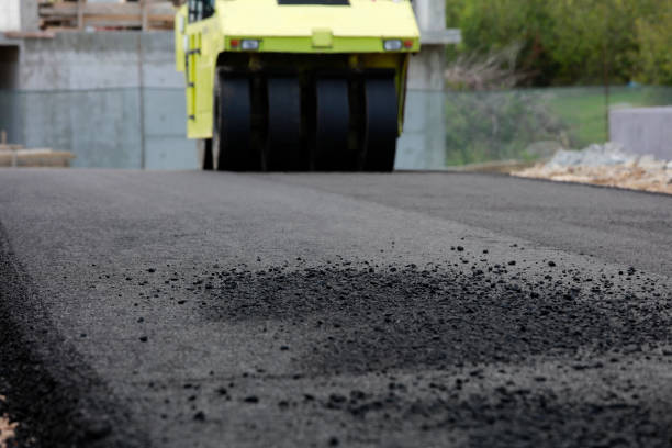 Best Driveway Pavers Near Me  in Palm Springs North, FL