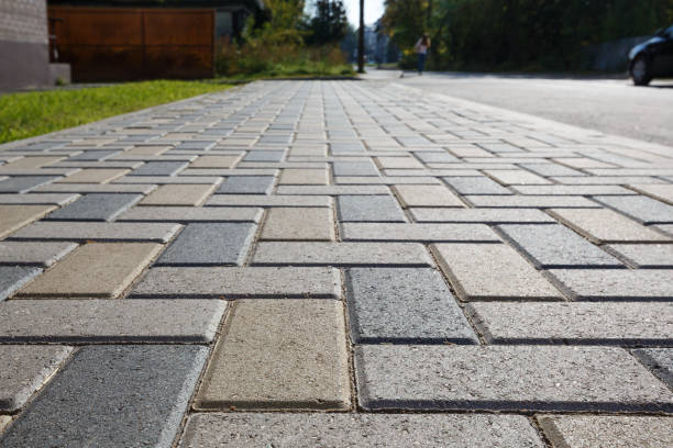 Best Driveway Paving Contractor  in Palm Springs North, FL
