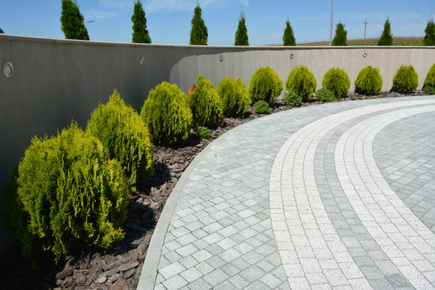 Best Residential Paver Driveway  in Palm Springs North, FL